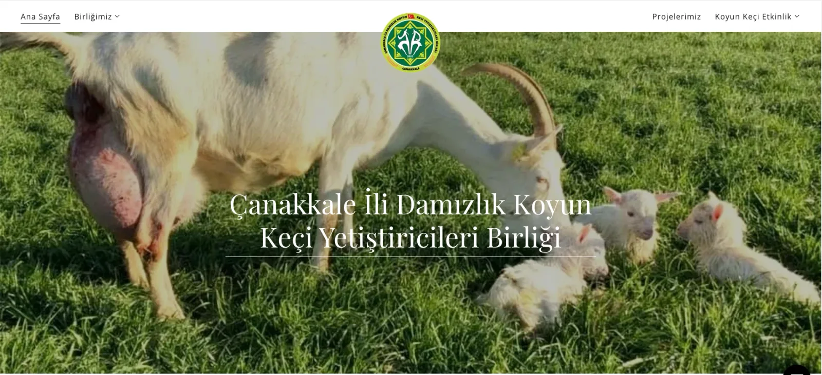 Çanakkale İli Damızlık Koyun Keçi Yetiştiricileri Birliği web sitesi tasarımı