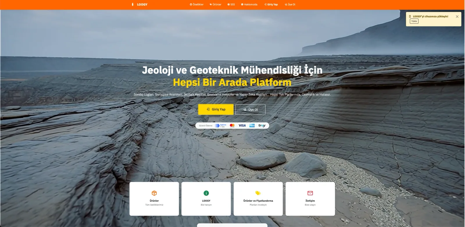 Loogy web sitesi tasarımı